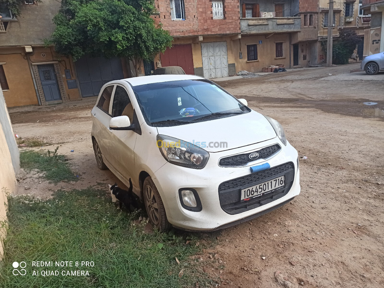 Kia Picanto 2017 Safety