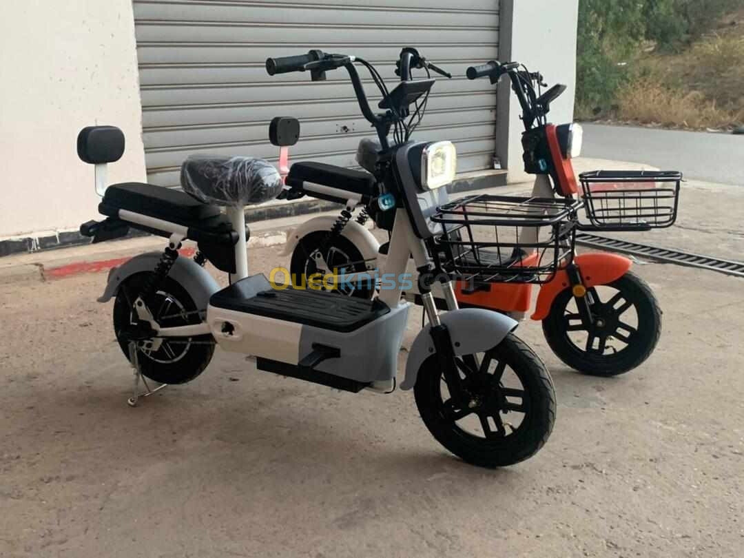 Scoozer Scooter électrique 2024