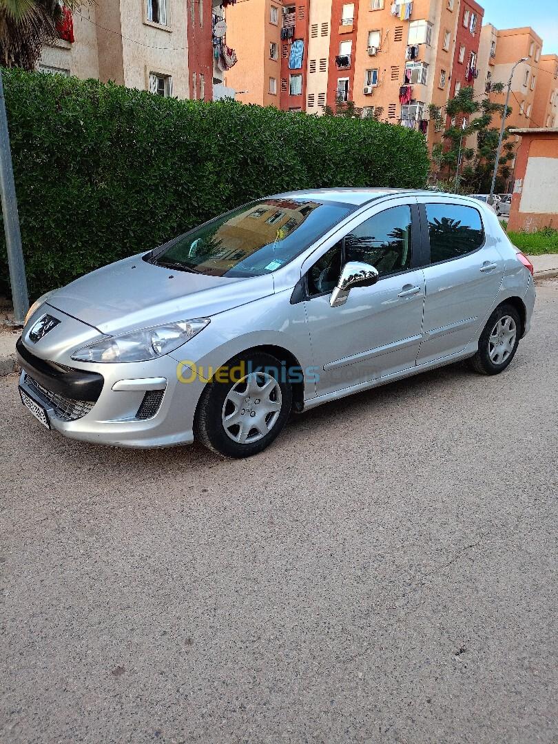 Peugeot 308 2009 Platinum 