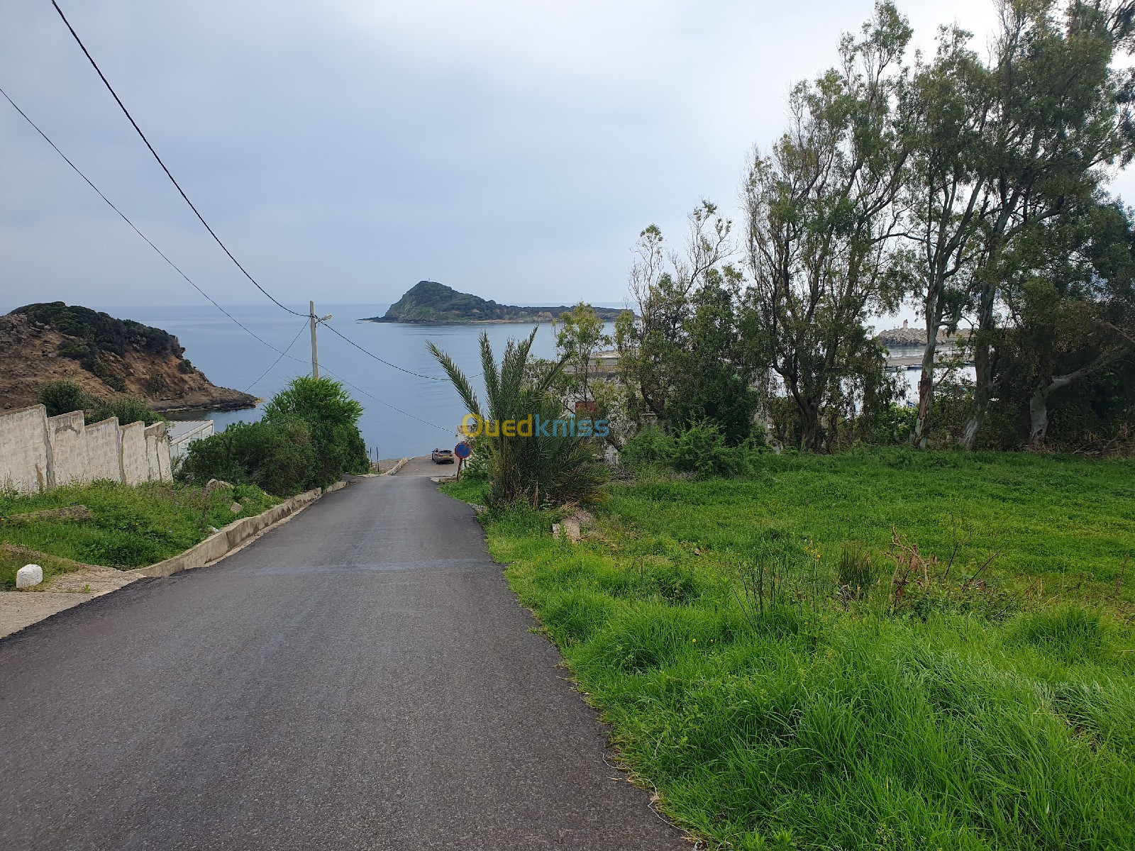 Vente Terrain Jijel El aouana