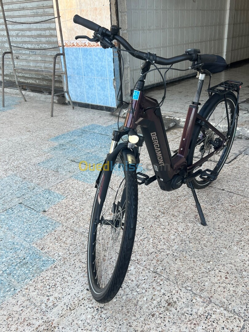 Vélo électrique 