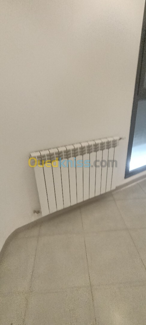 Vente Appartement F3 Alger El madania