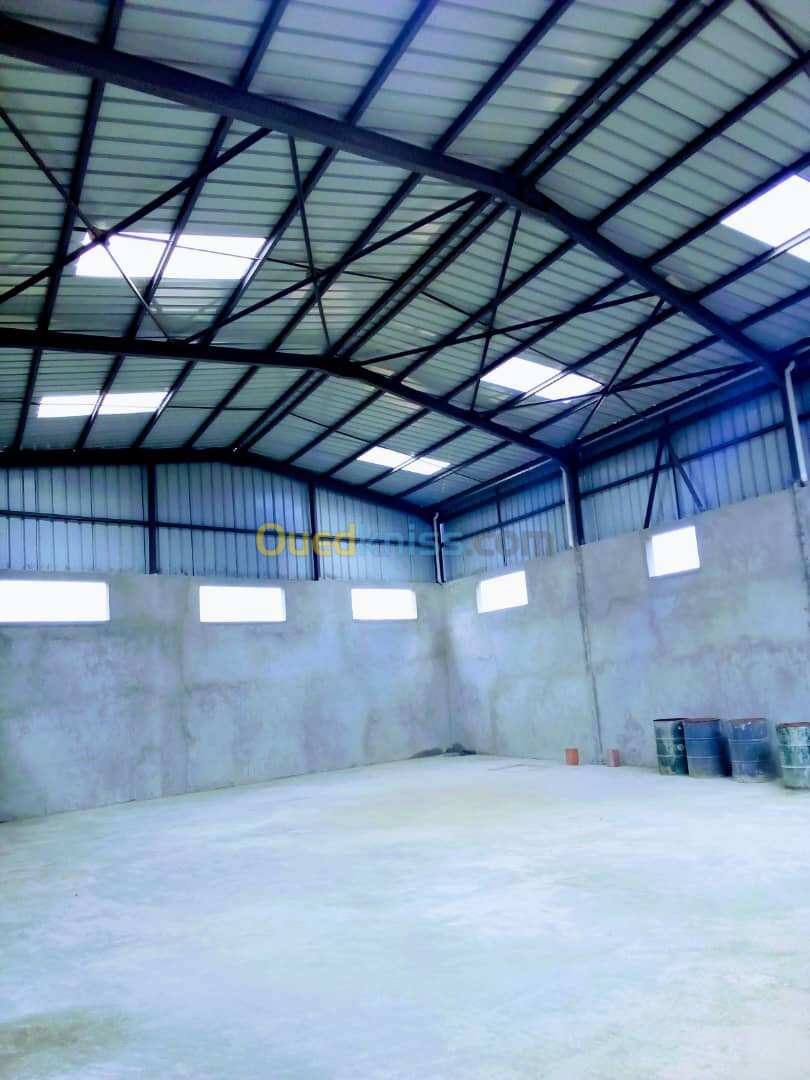 Location Hangar Alger Reghaia