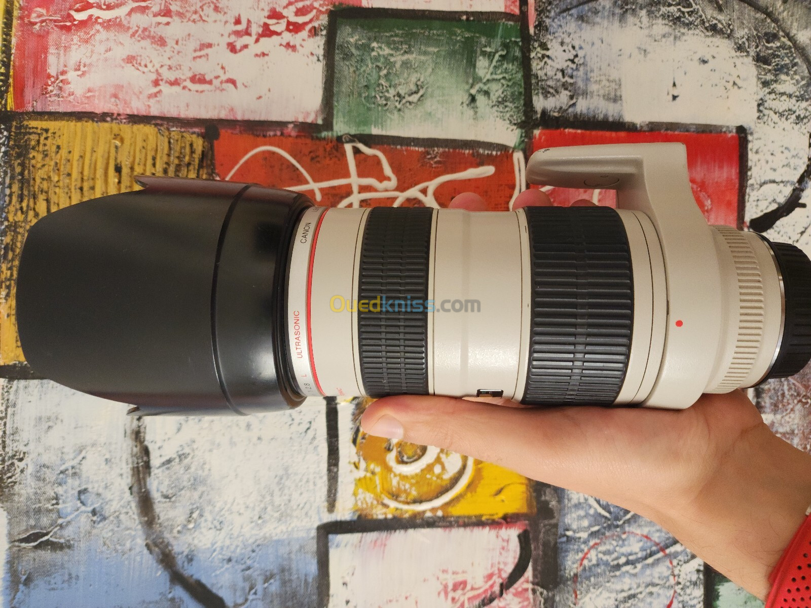 Canon EF 70-200 mm F/2,8 USM