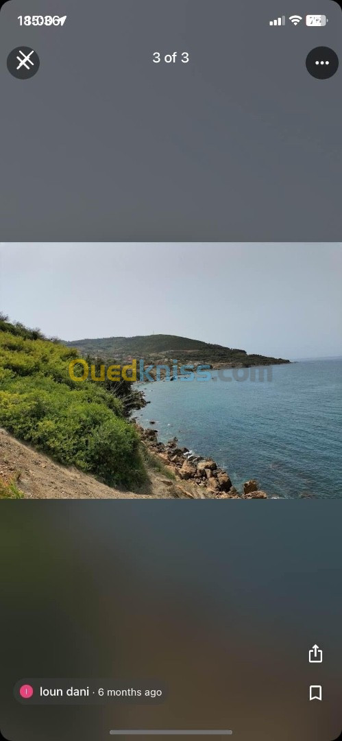 Vente Terrain Tipaza Larhat