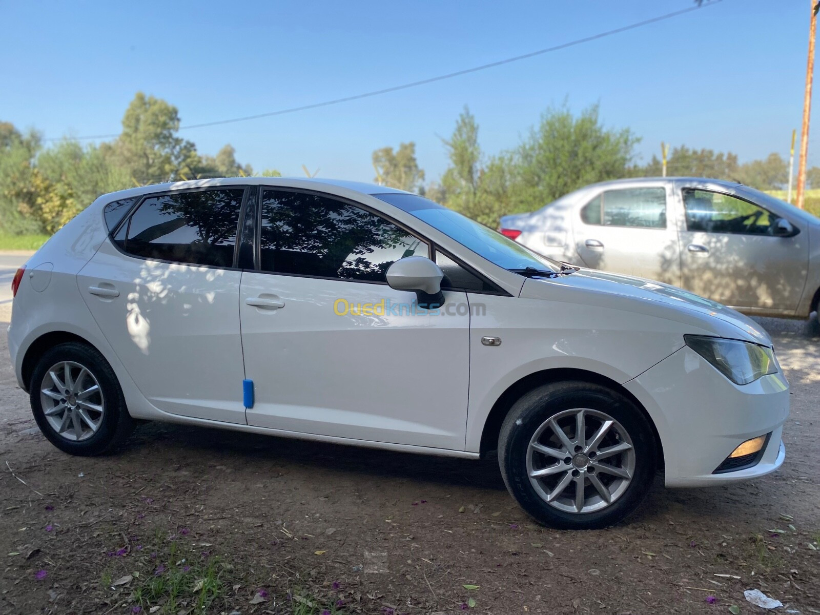 Seat Ibiza 2013 Fully