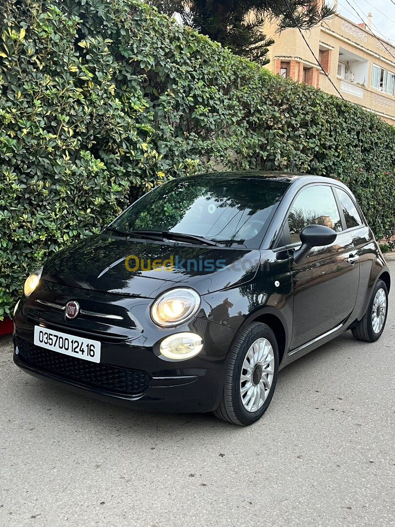 Fiat 500 2024 