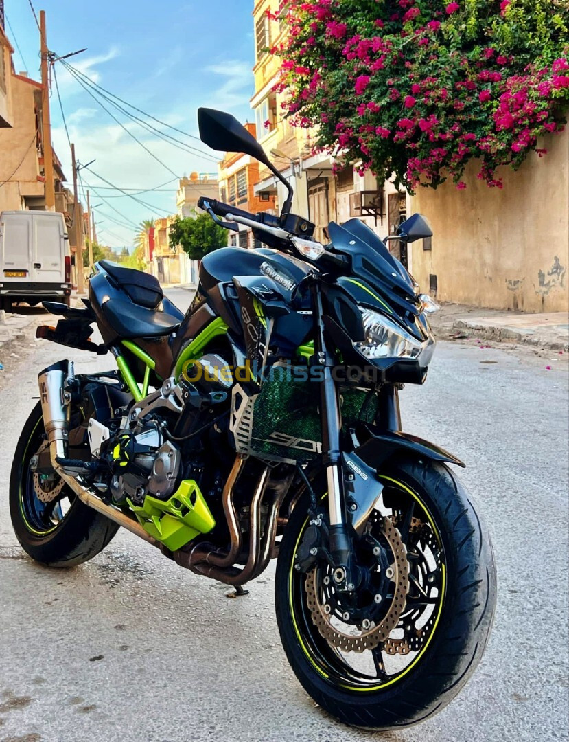 Kawasaki Z900 2019