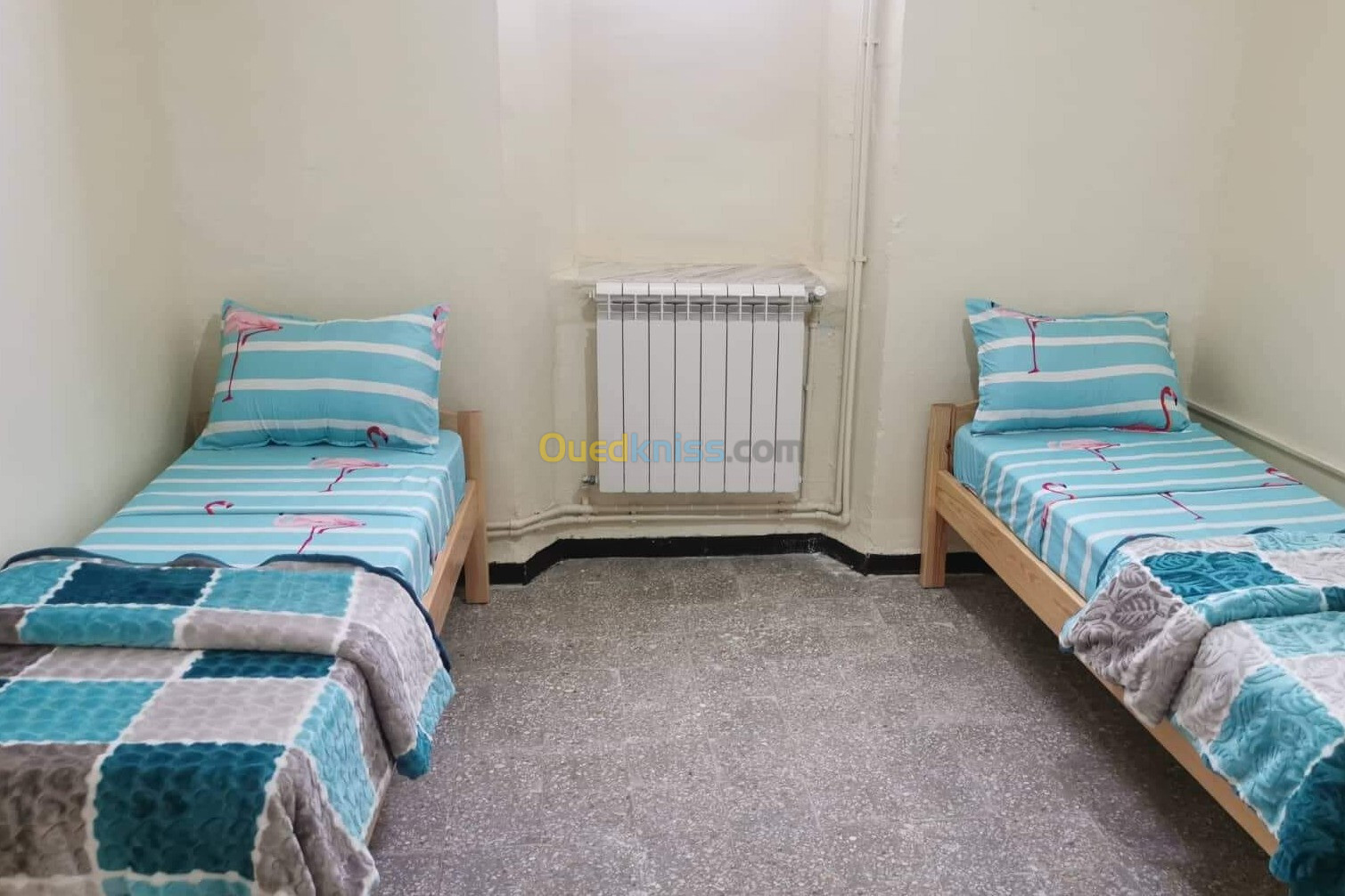 Offre colocation sur Alger