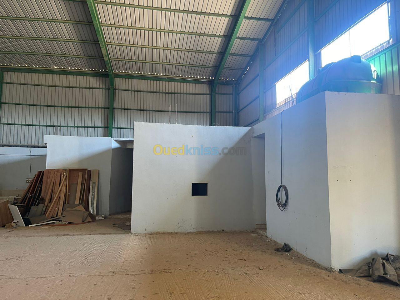 Location Hangar Oran Sidi chami