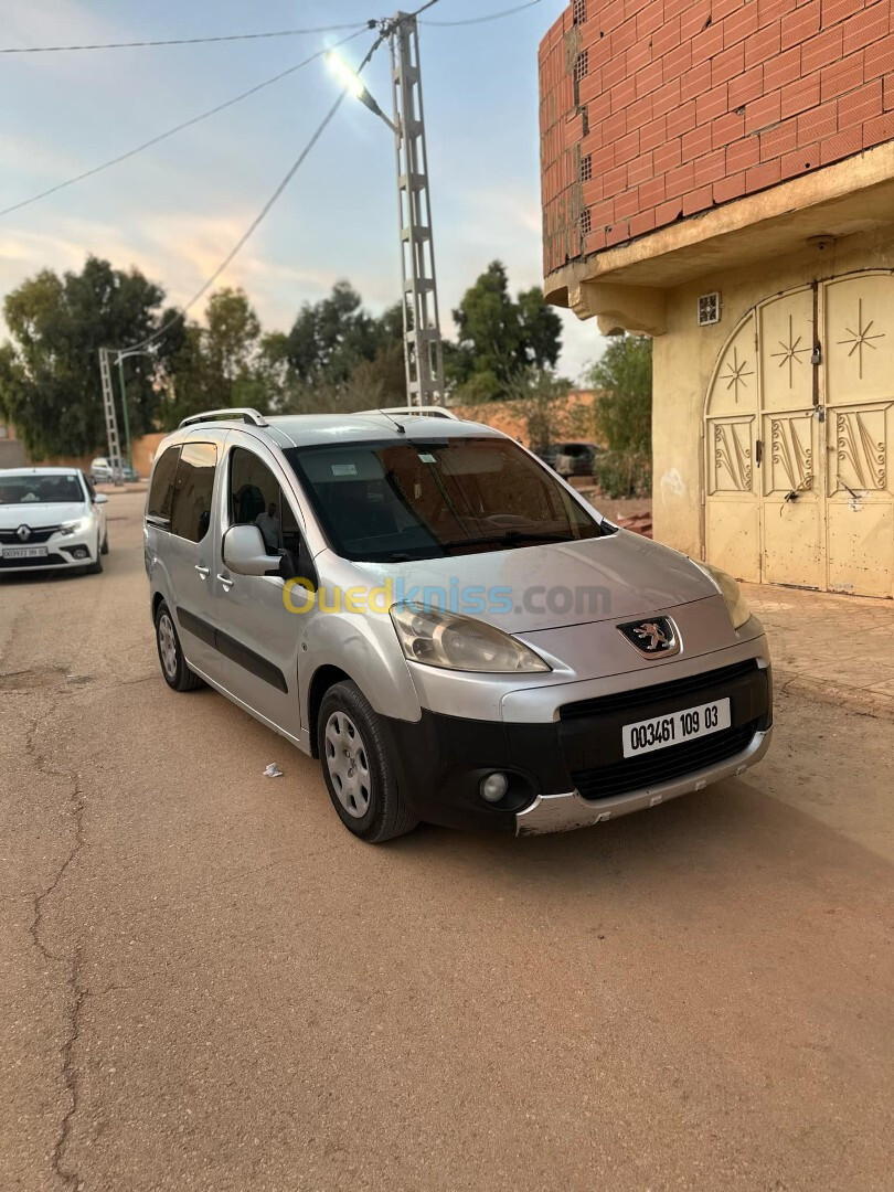 Peugeot Partner 2009 Tepee