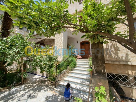 Vente Villa Alger Ouled fayet