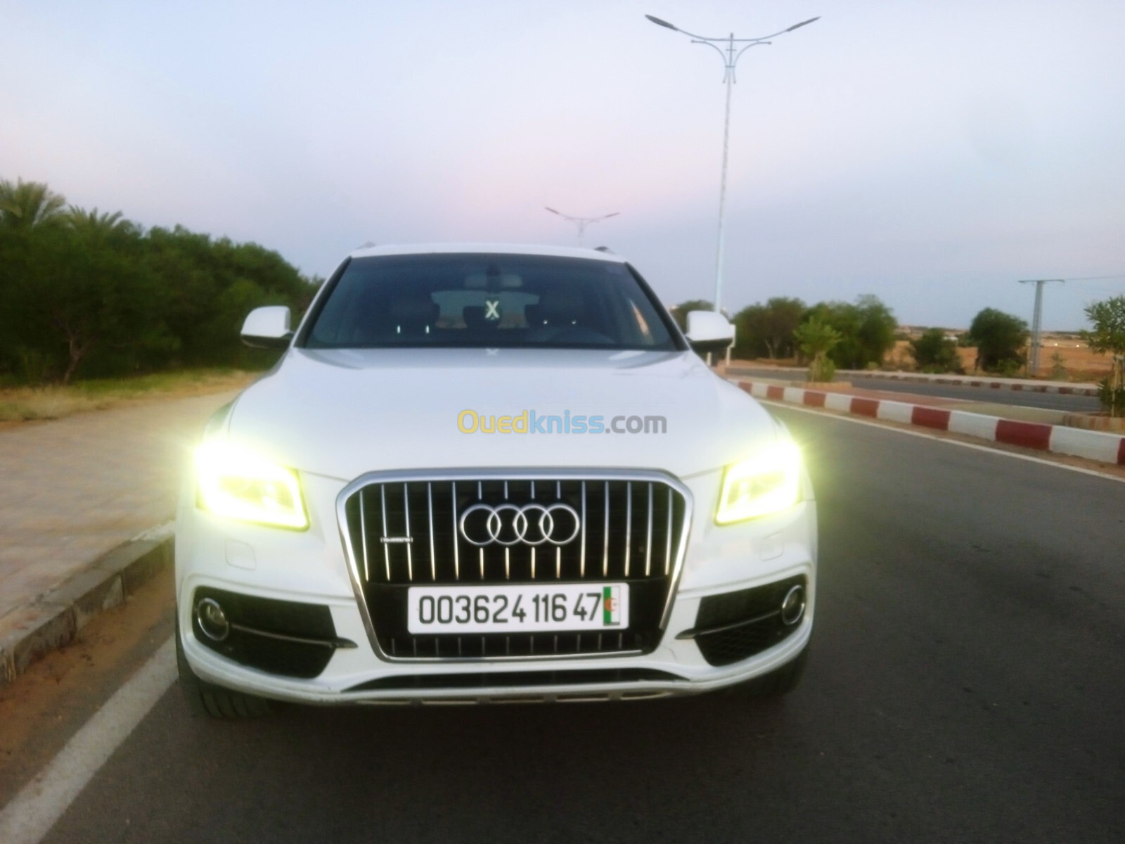 Audi Q5 2016 S Line