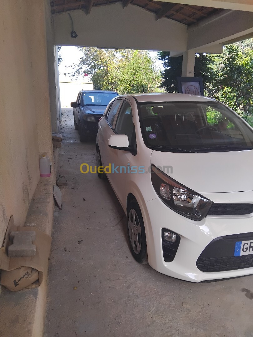 Kia Picanto 2023 Pop