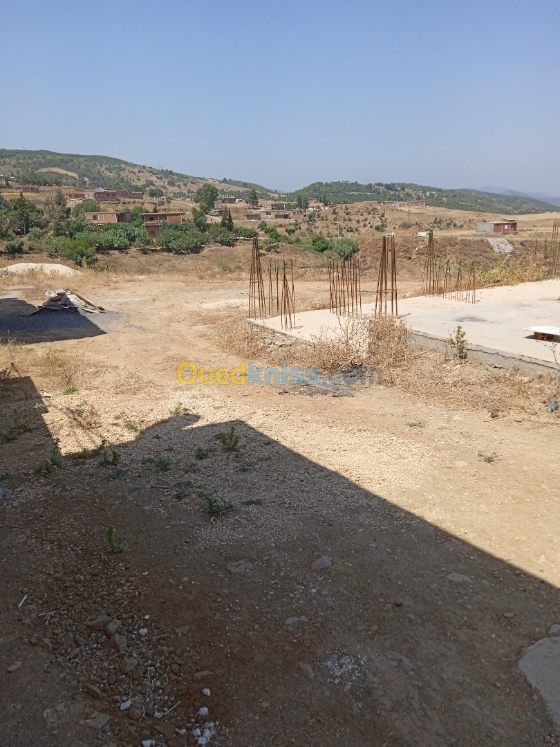 Vente Terrain Blida Ain romana