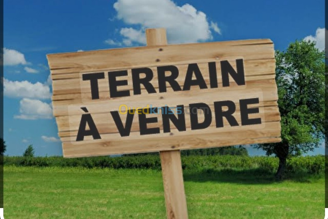 Vente Terrain Alger Rouiba