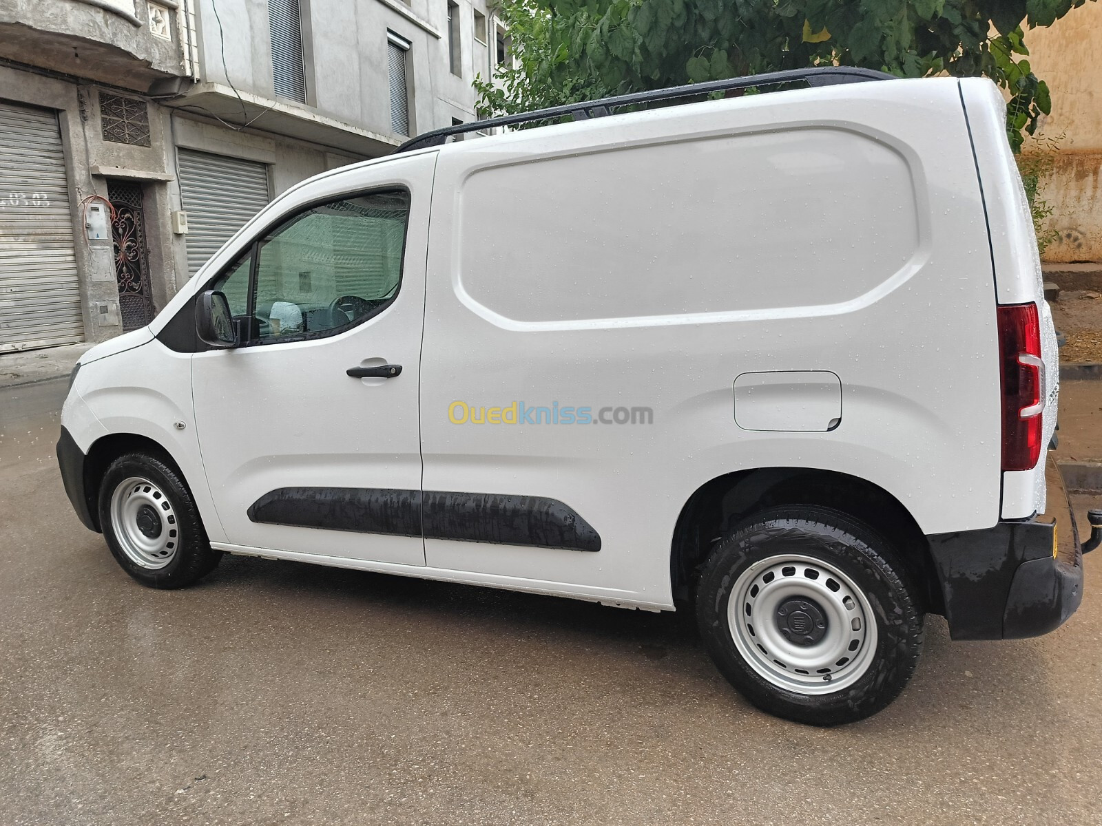 Fiat Doblo 2024 Oran