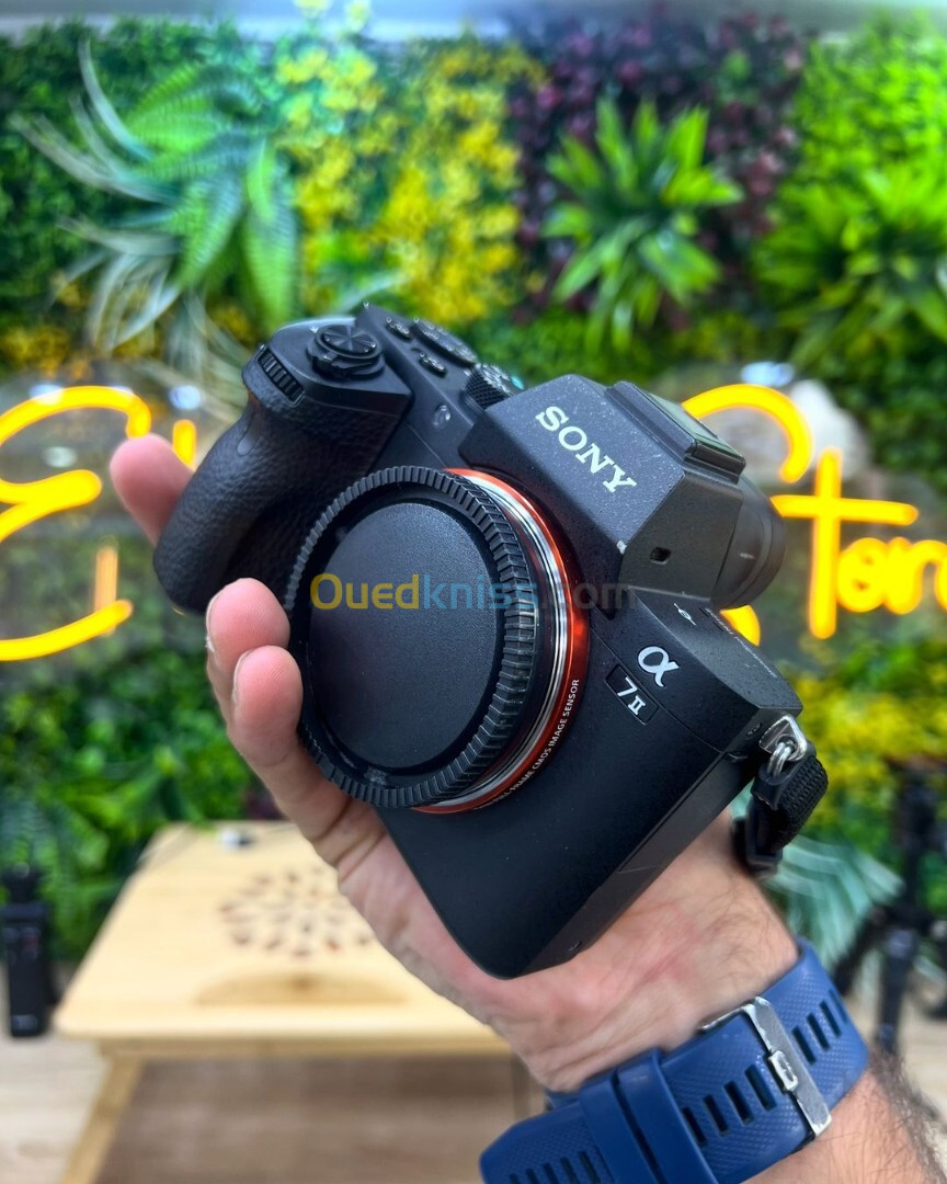 Sony A7 II boitier nu en excellent état batterie et chargeur  Click : 2k