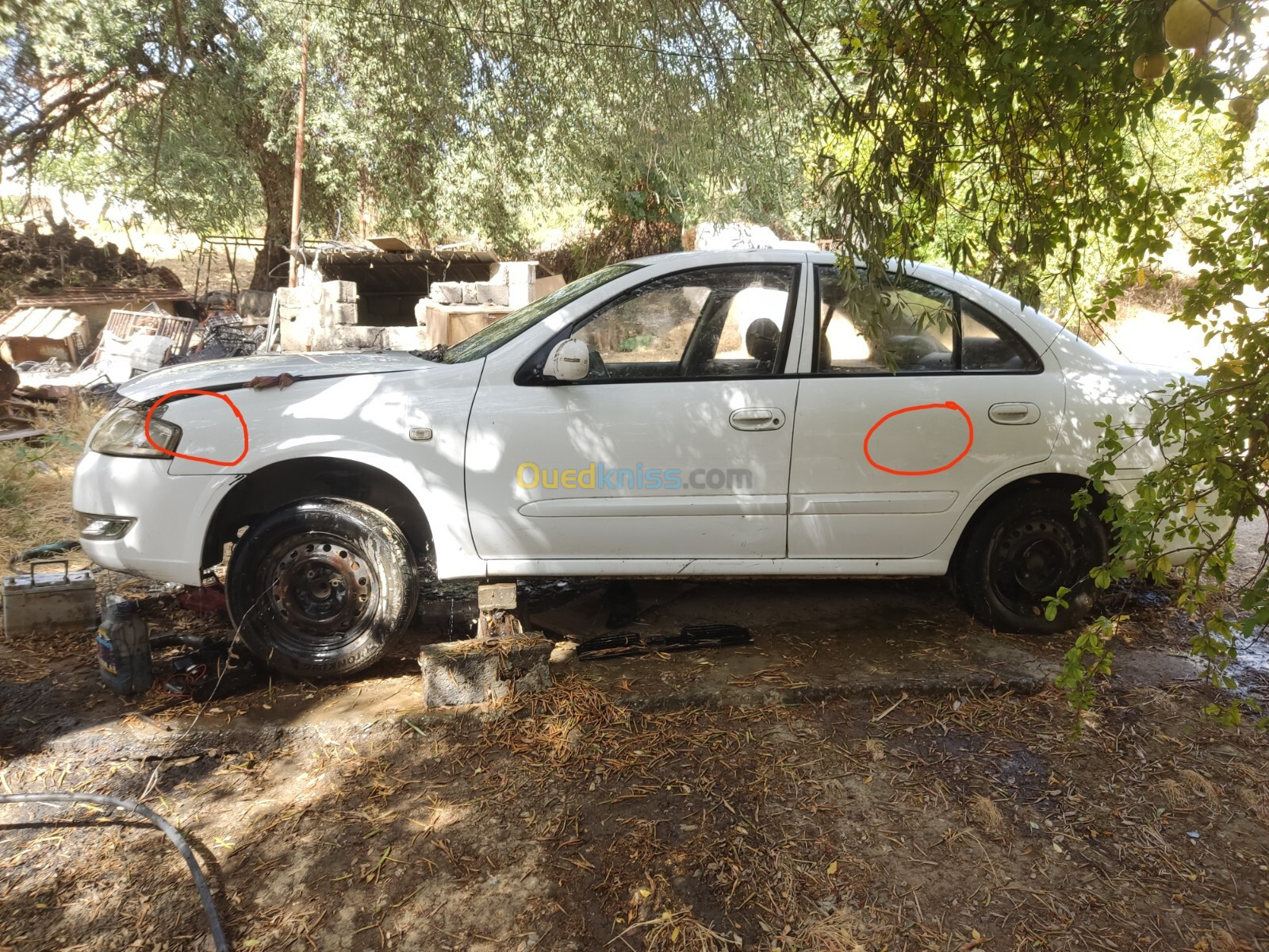 Nissan Sunny 2010 Sunny