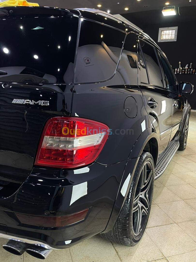 Mercedes ML 2010 ML