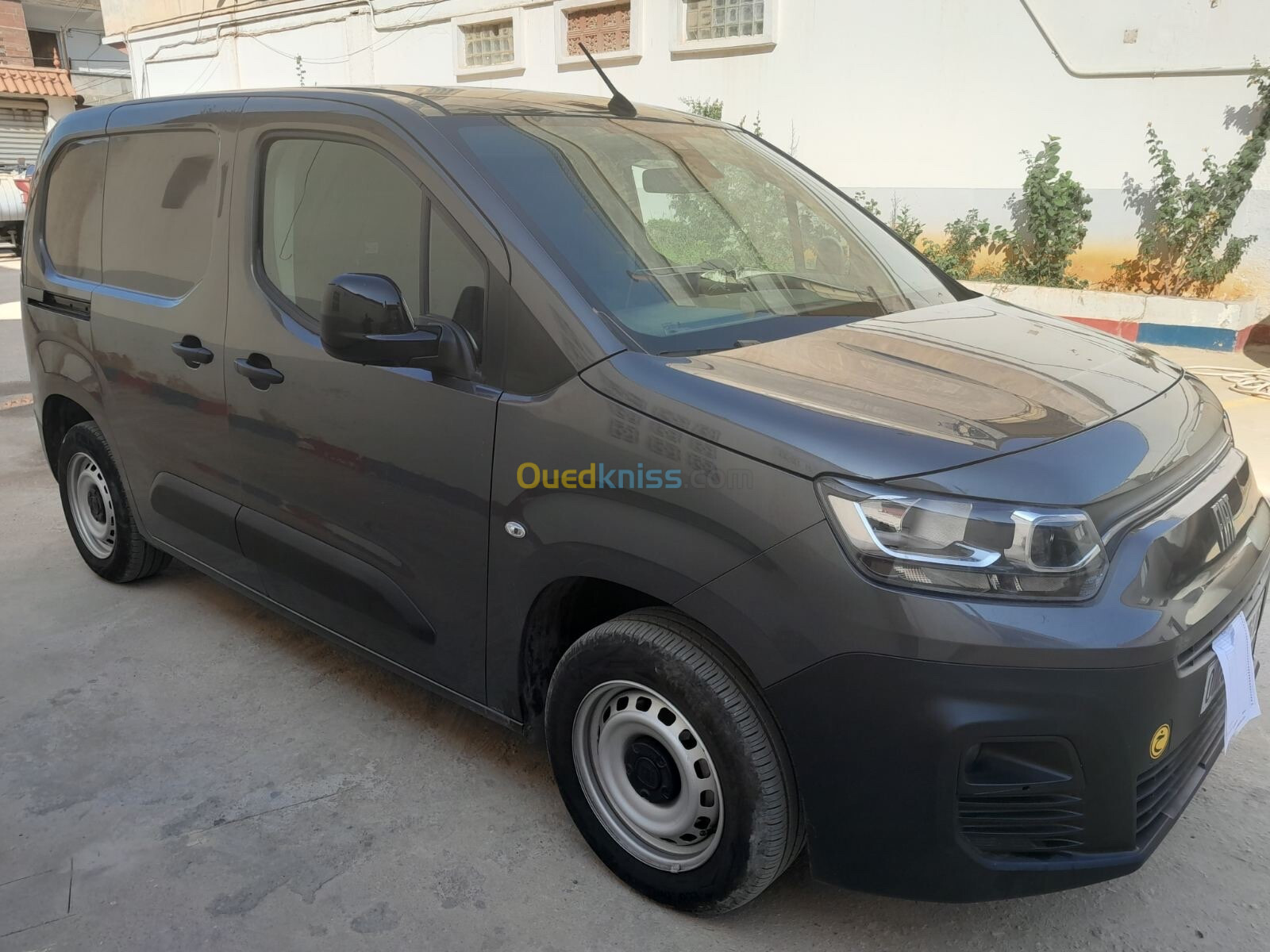 Fiat Doblo 2023 Professionnel