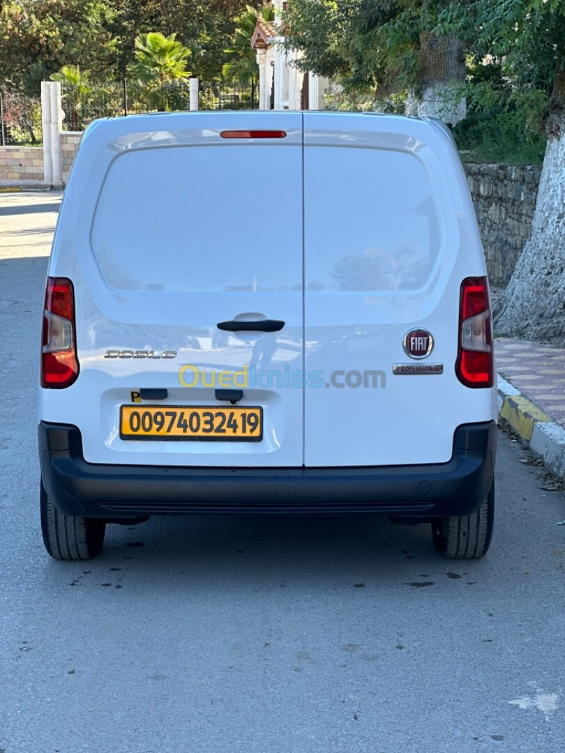 Fiat Doblo 2024 Profisional