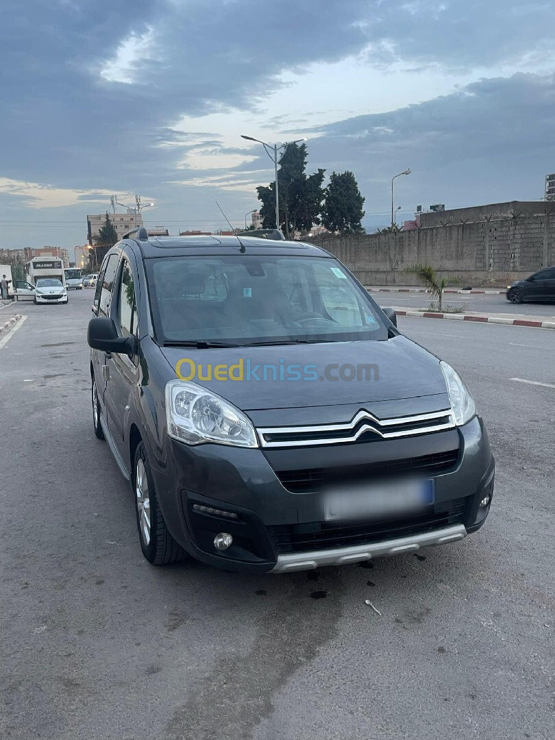 Citroen Berlingo 2017 Berlingo