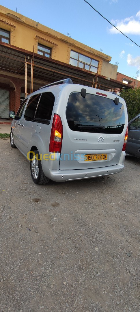 Citroen Berlingo 2010 Berlingo