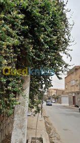 Vente Villa Laghouat Laghouat