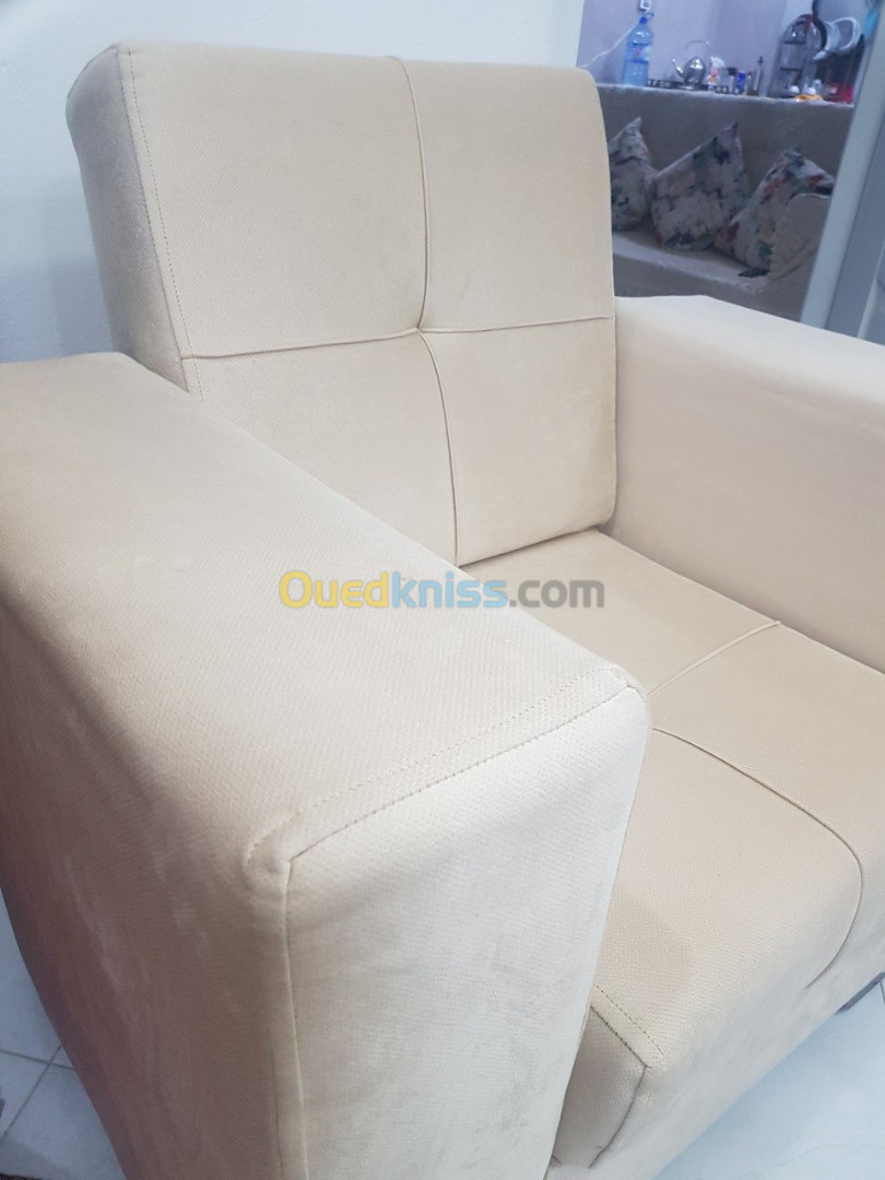 2 fauteuils tissu anti tache