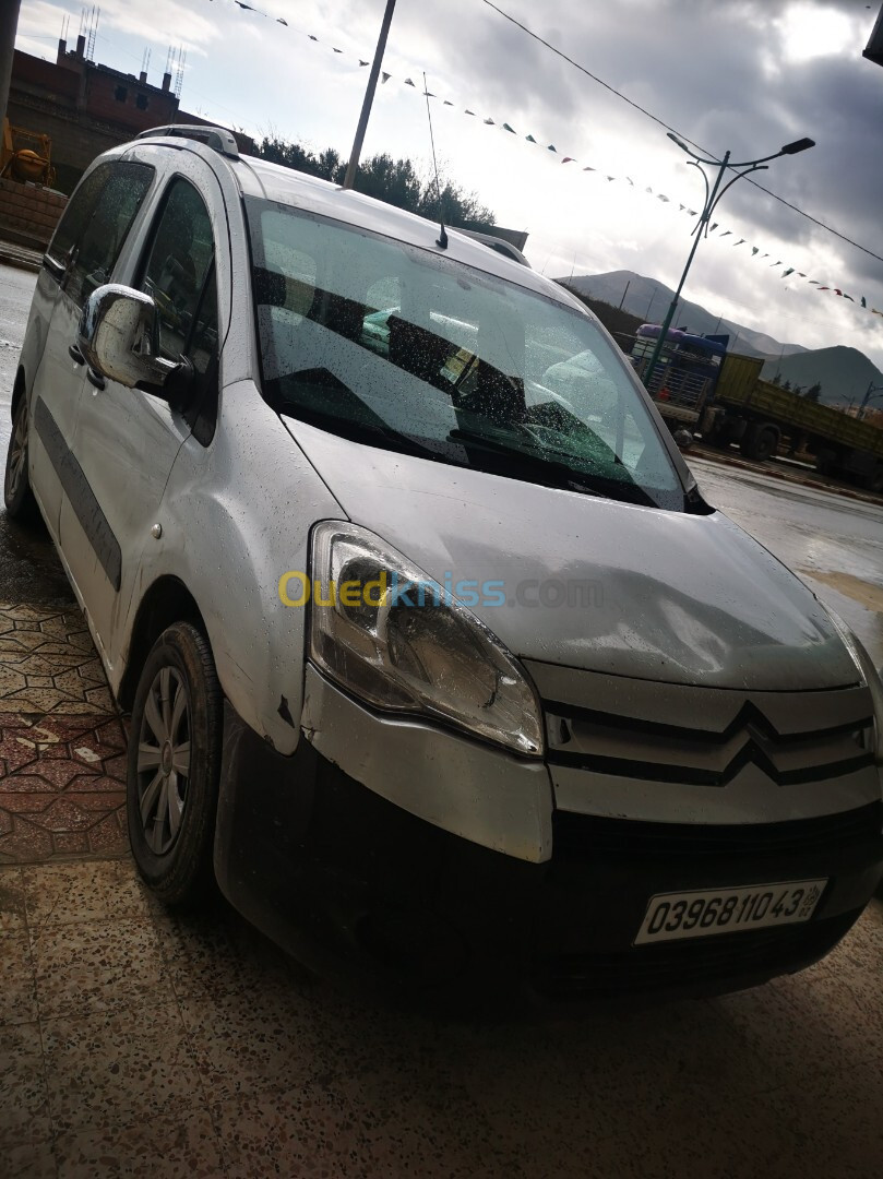 Citroen Berlingo 2010 Berlingo