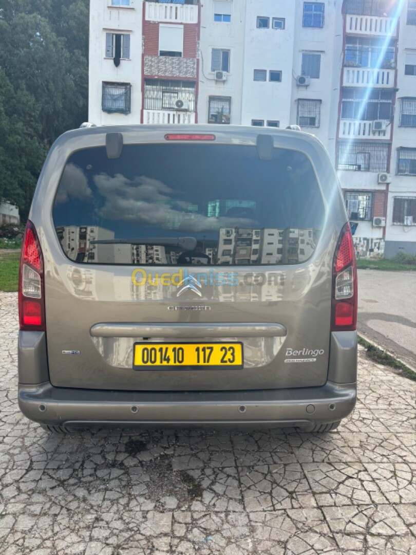 Citroen Berlingo 2017 Berlingo