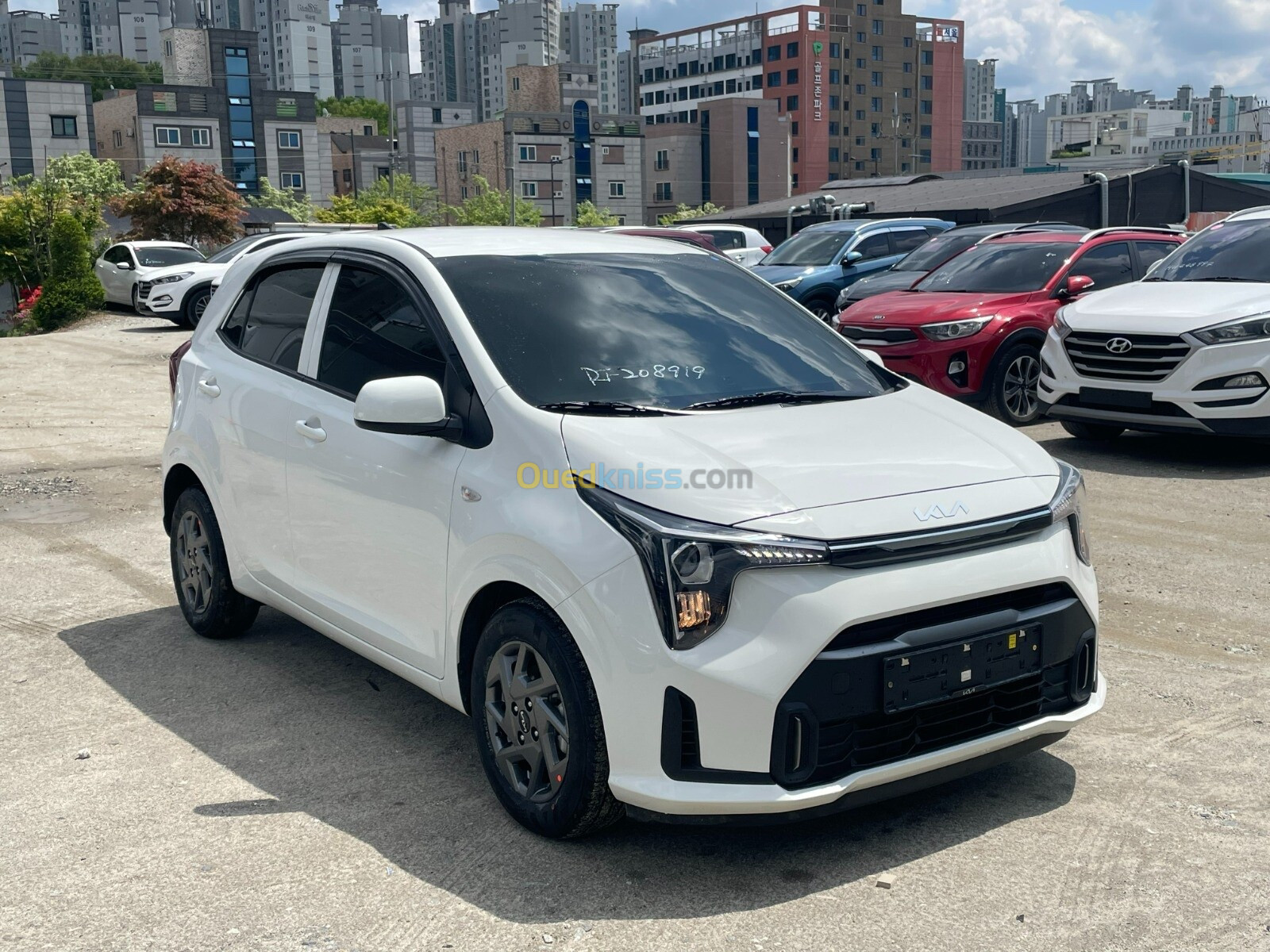 Kia Picanto 2024 Morning