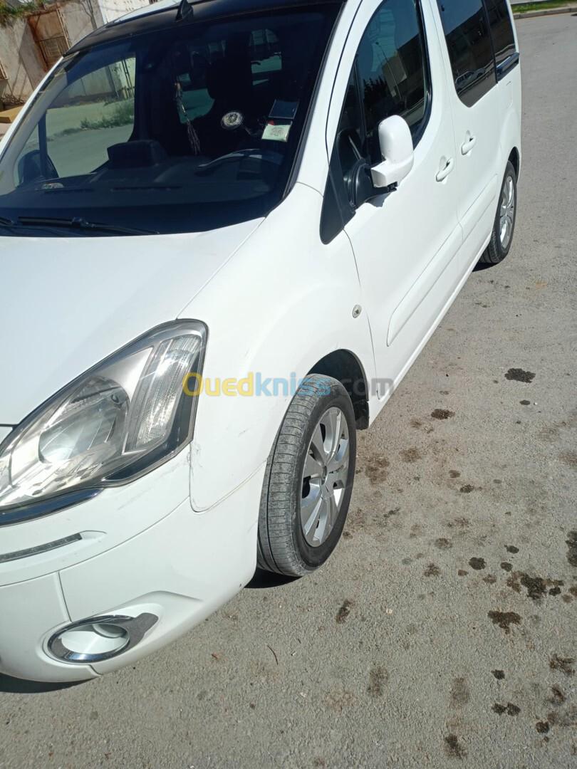 Citroen Berlingo 2013 2013