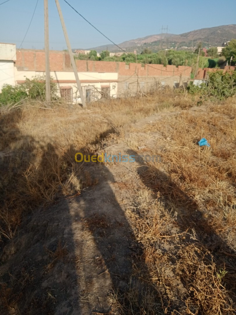 Vente Terrain Tlemcen Tlemcen