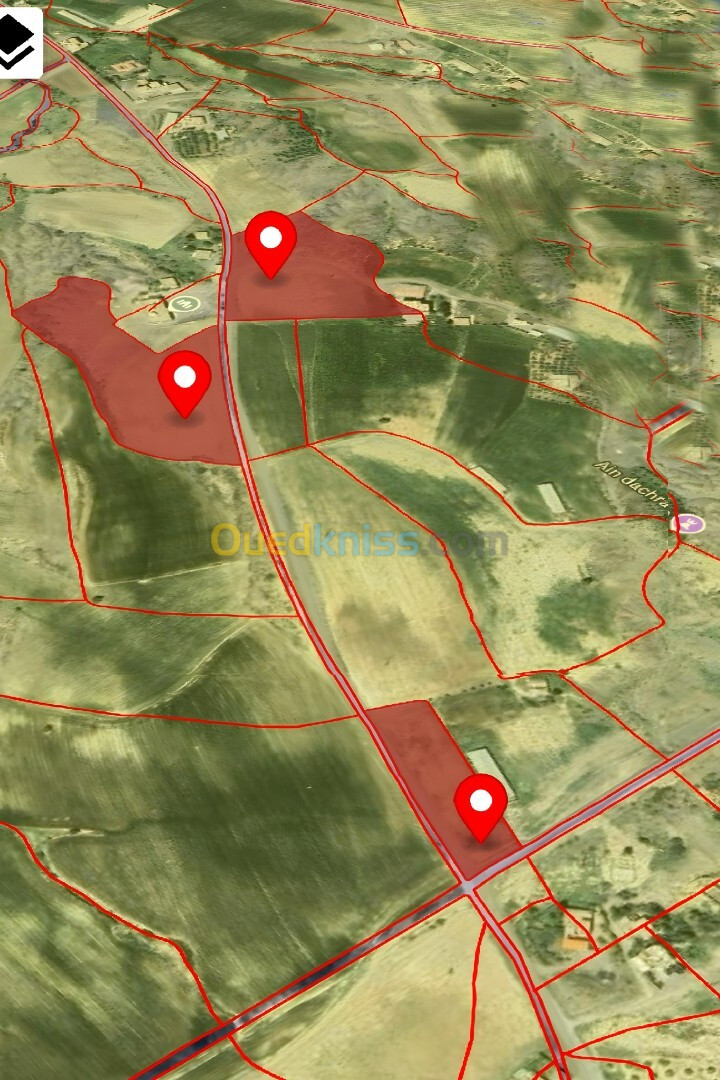 Vente Terrain Agricole Bouira El hachimia