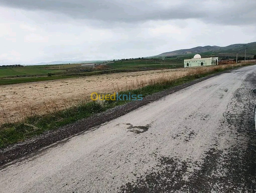 Vente Terrain Agricole Bouira El hachimia