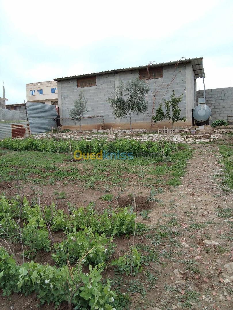 Vente Terrain Mila Oued endja