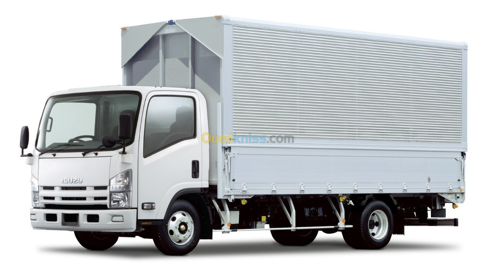 Isuzu NPR71 Super Jambo, container , frigorifique, plateau 2024