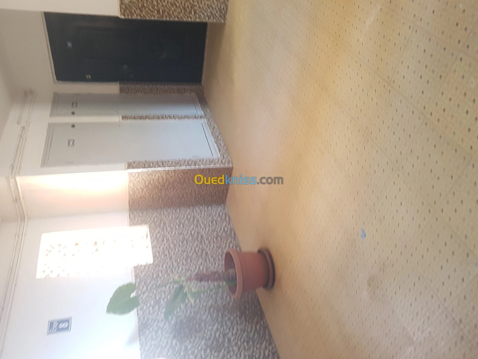 Vente Appartement F3 Alger Ain benian