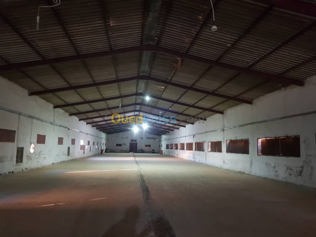 Location Hangar Relizane Relizane