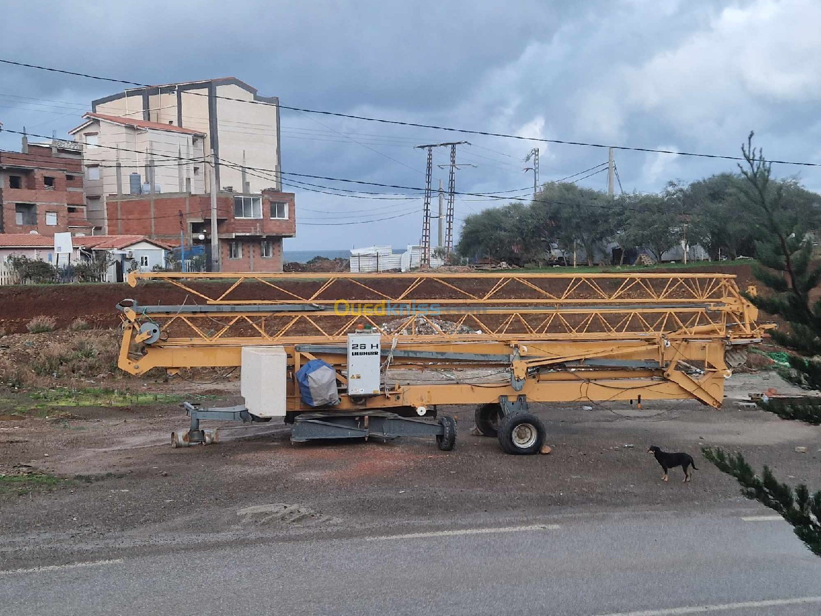 GRUE LIEBHERR A vendre 