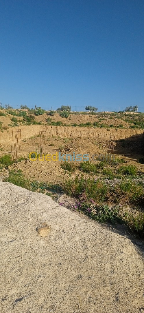 Vente Terrain Batna Tazoult