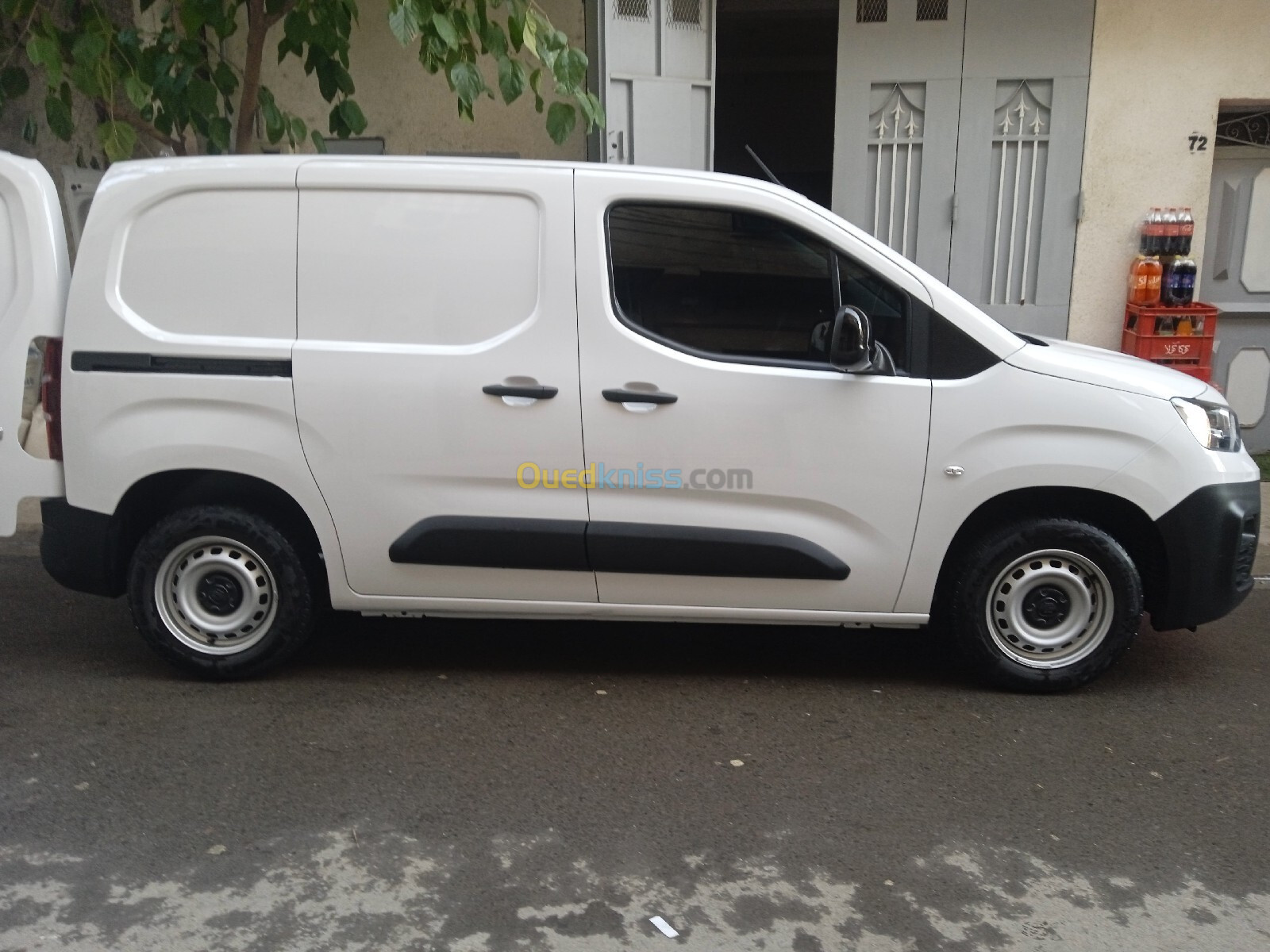 Fiat Doblo 2024 Brofesslonal