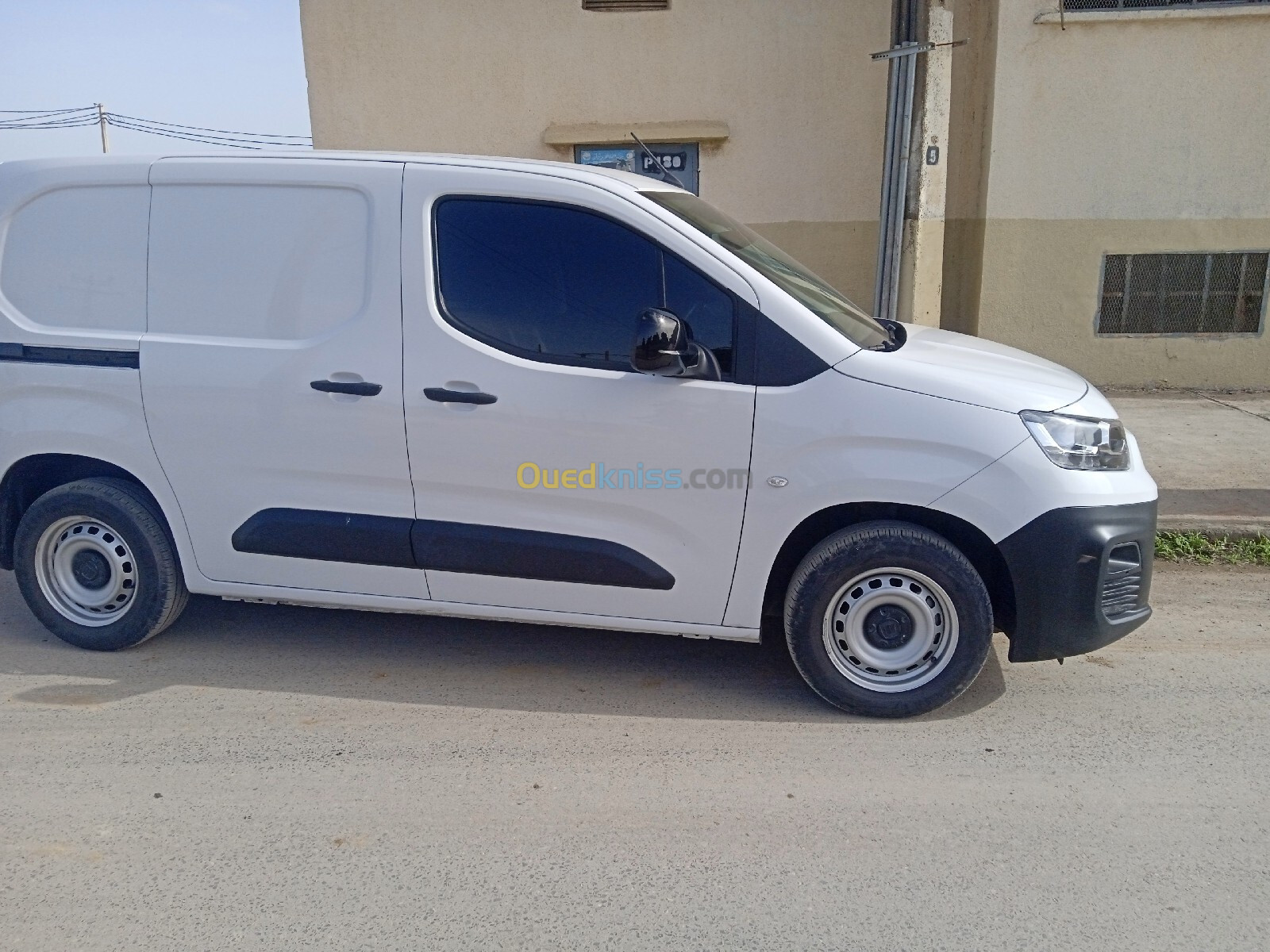 Fiat Doblo 2024 Brofesslonal