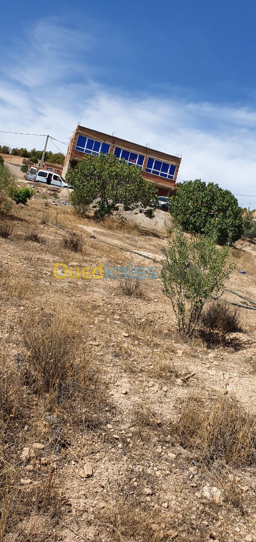 Vente Terrain Bouira Ahl el ksar