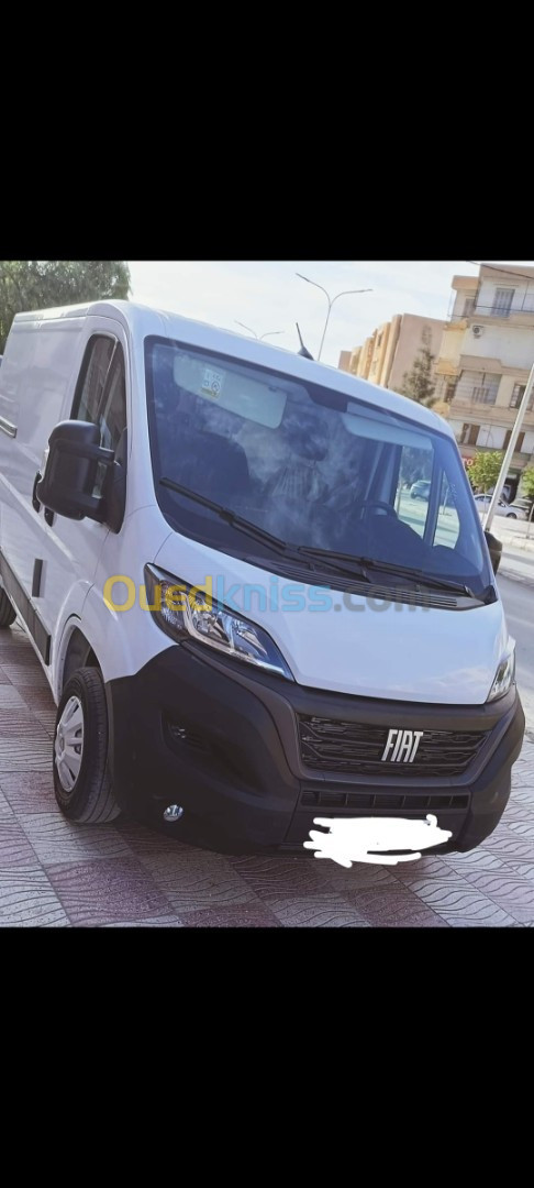 Fiat Decato 2023 Kanich