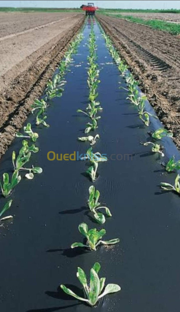 Paillage et tunnel agricole 