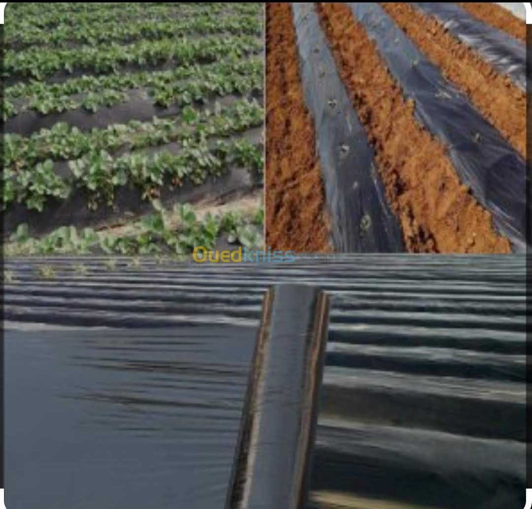 Paillage et tunnel agricole 