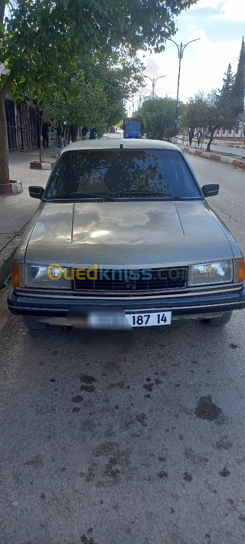 Peugeot 305 1987 305